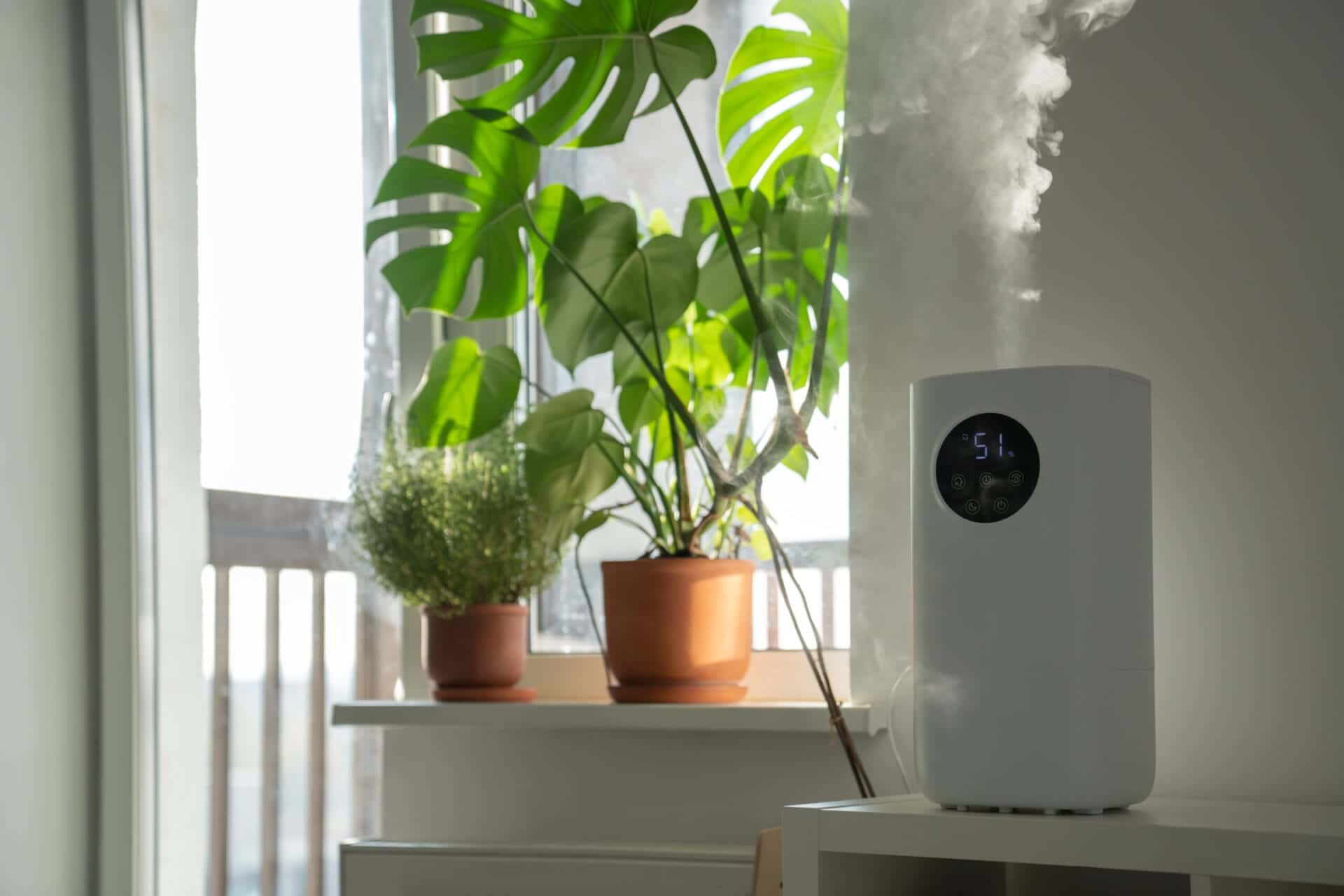 Air Purifiers: Myths and Facts Explained For Your Hollywood Home