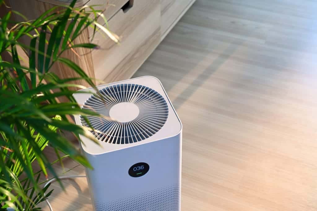 Choosing the Right Air Purifier for Your Home In Los Angeles