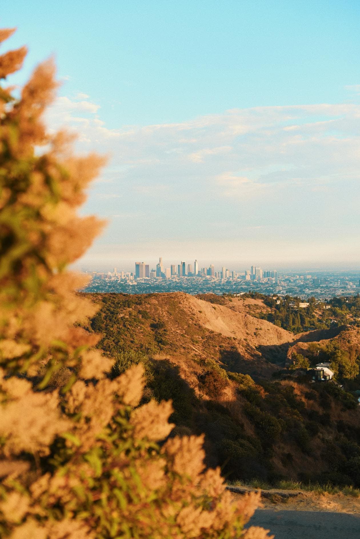 Glassell Park skyline