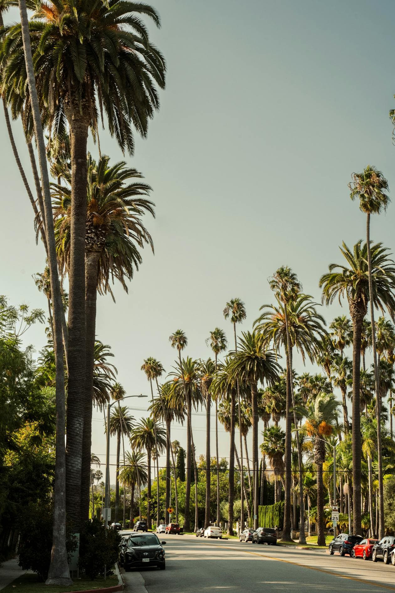 Reseda skyline