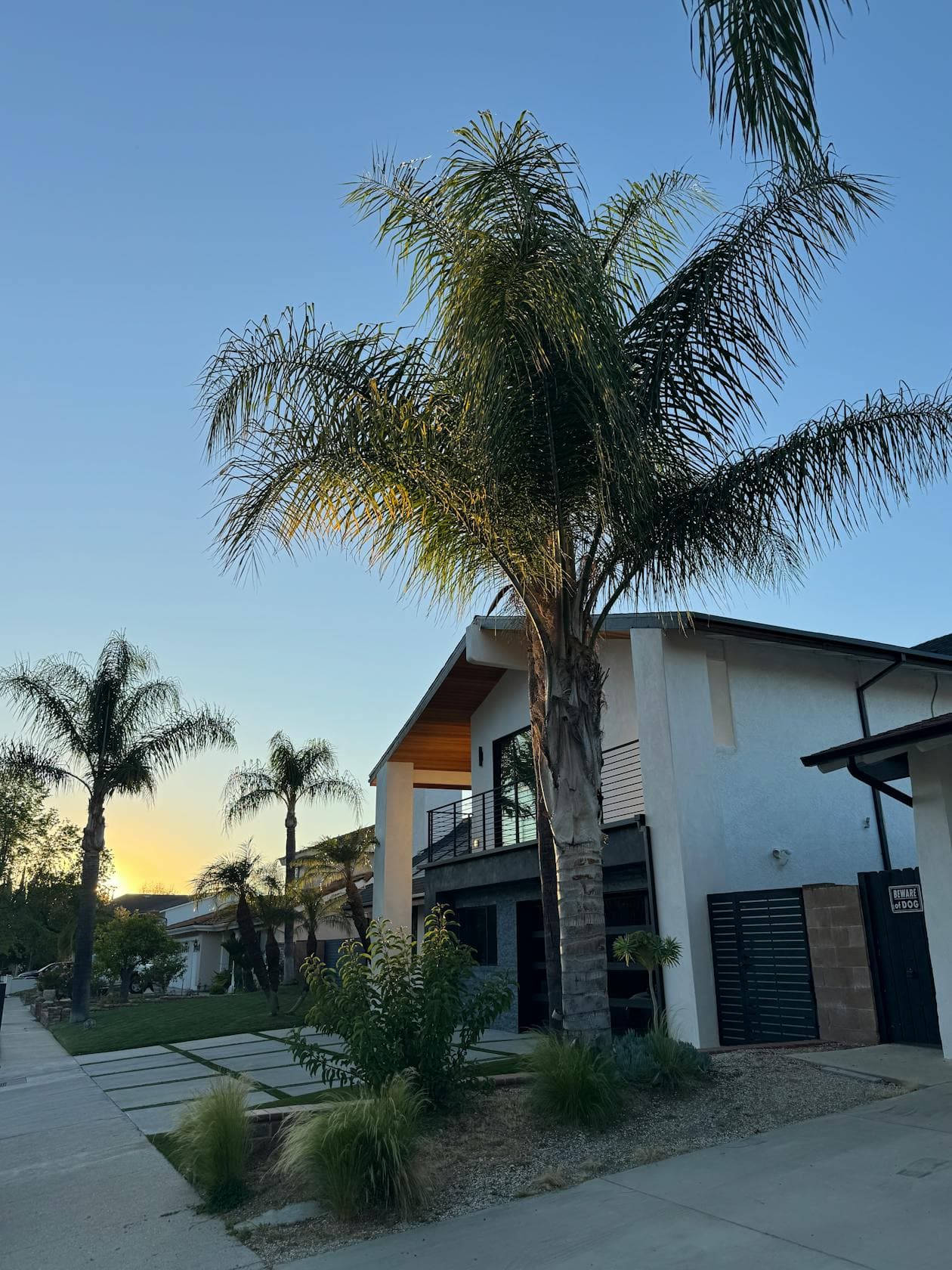 Sherman Oaks skyline
