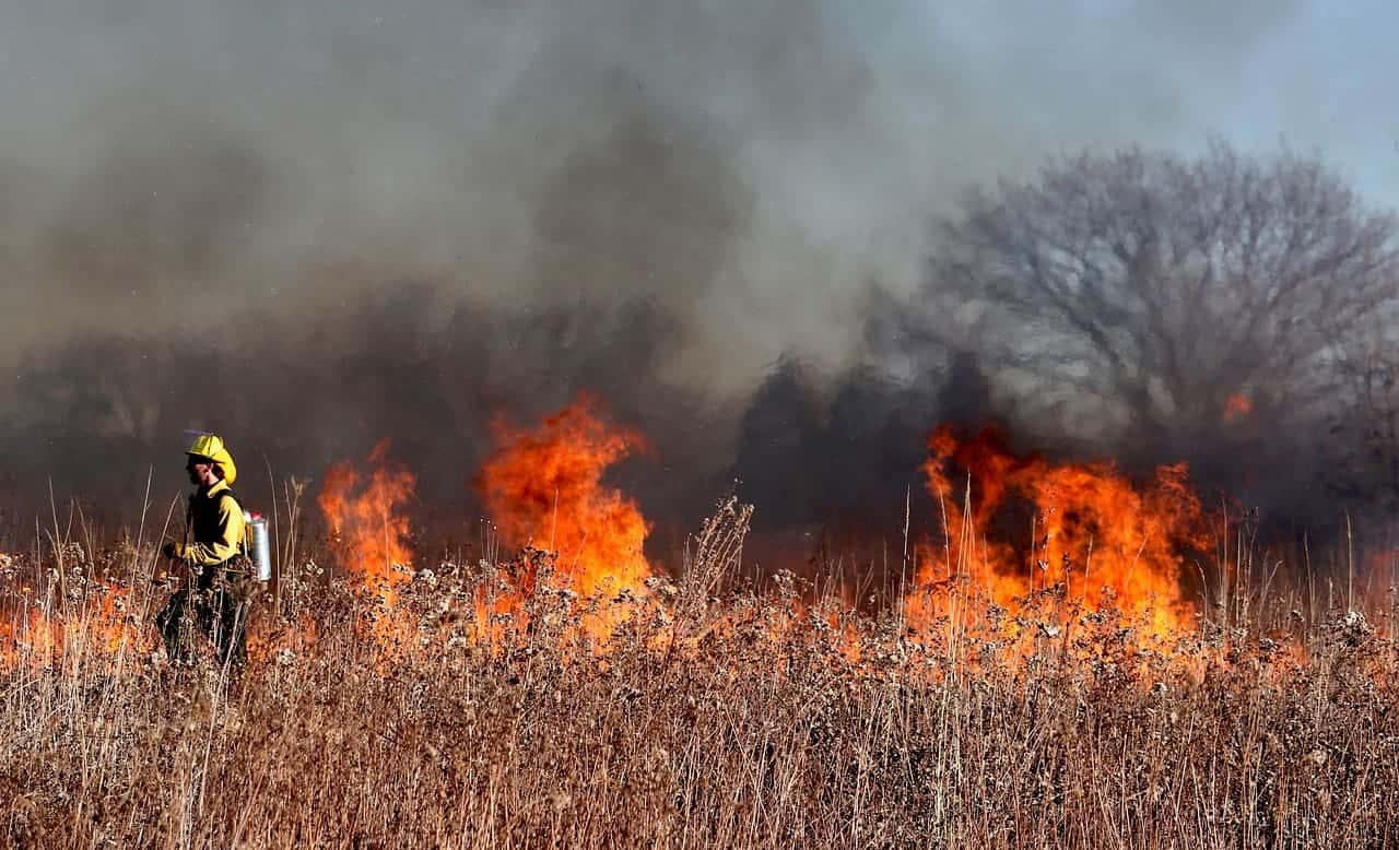firefighter, fire, flames