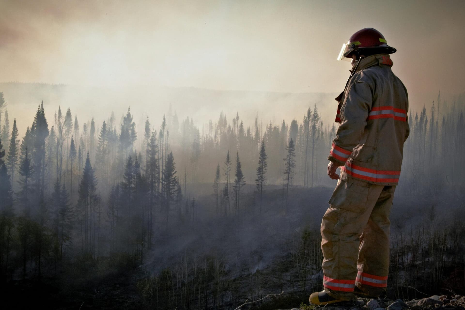 A firefighter in uniform surveys the aftermath of a forest fire with smoke rising through the trees.
