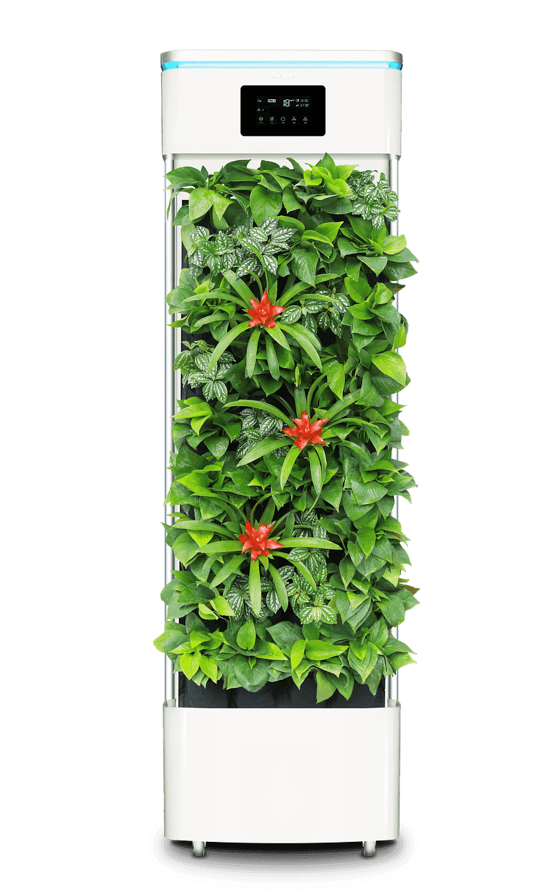 smart plant purifier, air purifier, plant, air purifier, air purifier, air purifier, nature, air purifier, air purifier