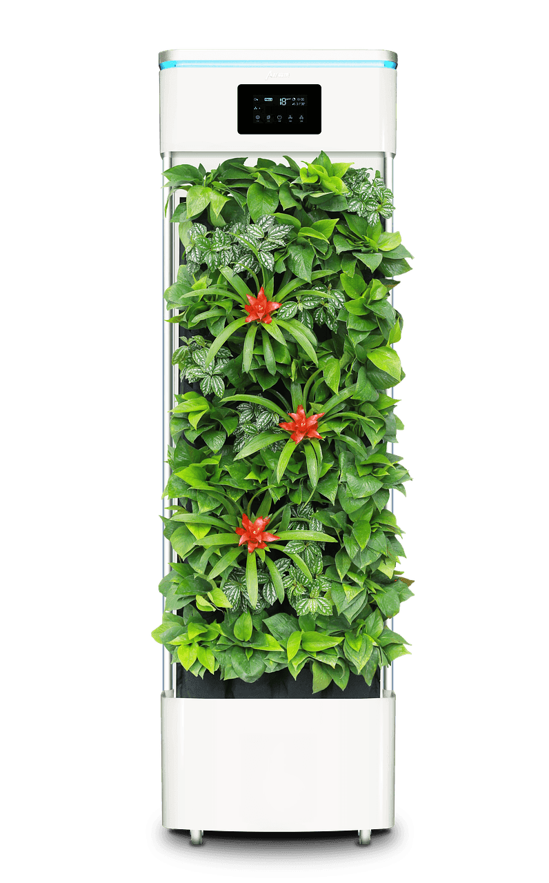 smart plant purifier, air purifier, plant, air purifier, air purifier, air purifier, nature, air purifier, air purifier
