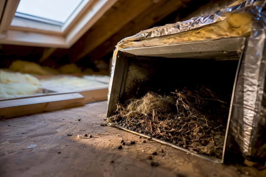 L.A. Homeowners: Follow CDC and EPA Steps If Rodents Are in Ductwork