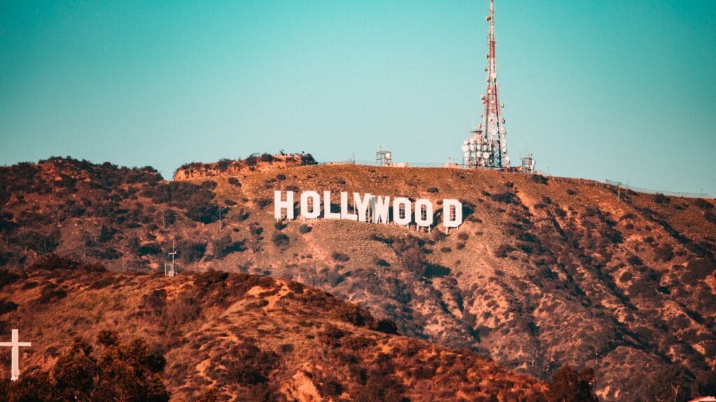 2 brown and white hollywood sign
