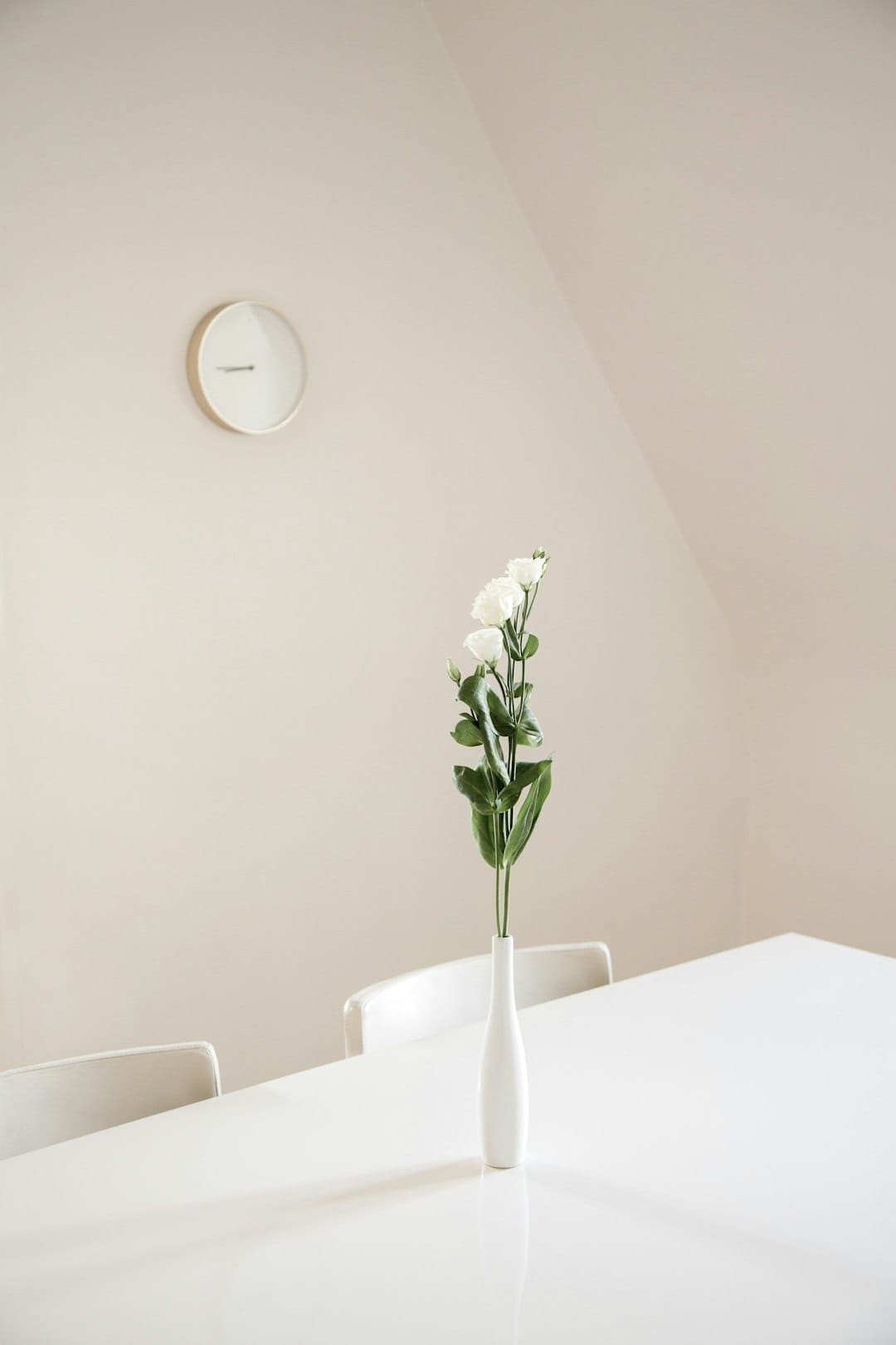 Benefits of Air Purifying Plants Indoors In Hollywood 3 Peace Lily plant in a modern living space